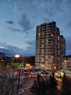 AGA NEMATULLA Str